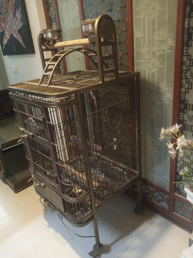 Exotics parrots cage — photo 3