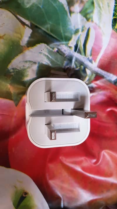 100% Original iPhone 20W USB-C Power Adapter (3-Pin Folding