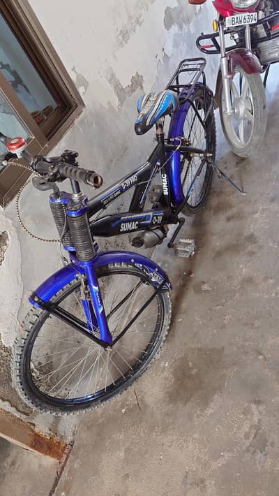 Sumac 0.39 pro cycle