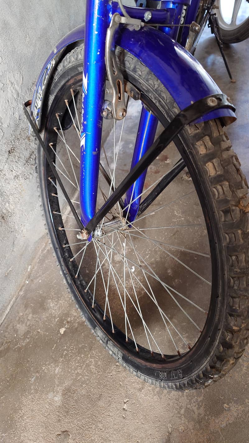Sumac 0.39 pro cycle 1