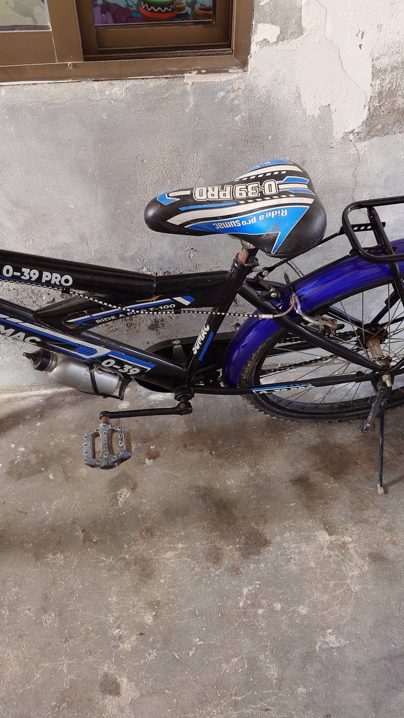 Sumac 0.39 pro cycle 3