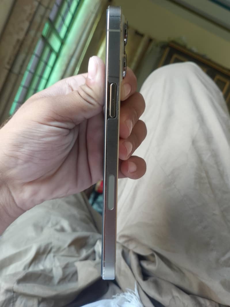 Apple iPhone 13 Pro Max 1