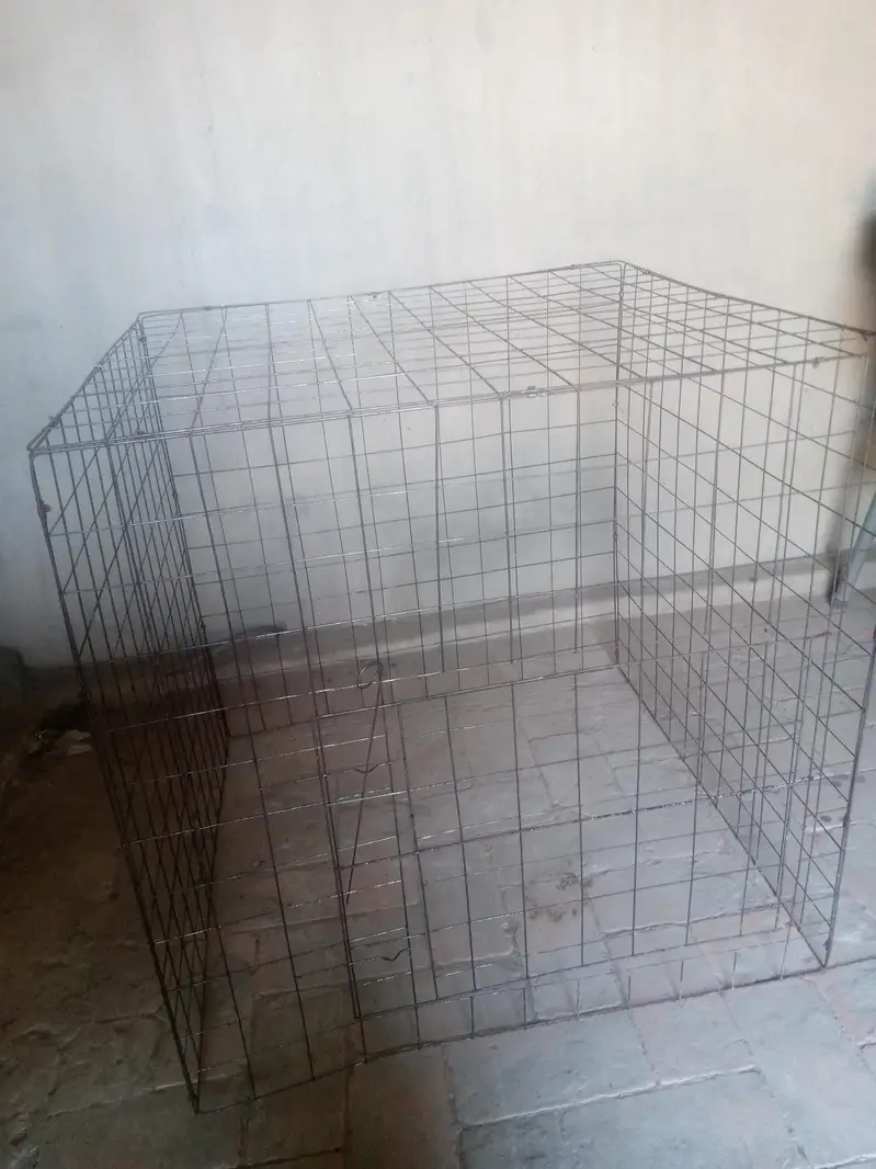 cage for hens 2.3/2.3 — photo 2