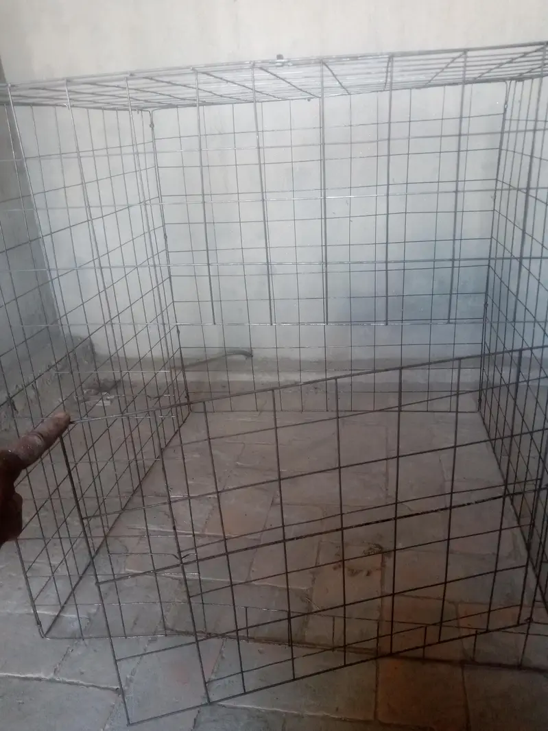 cage for hens 2.3/2.3 — photo 3