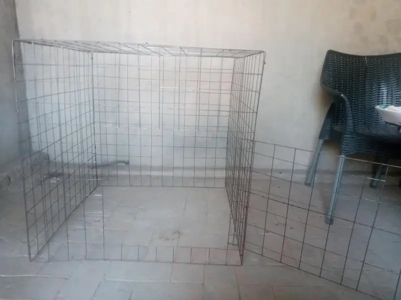 cage for hens 2.3/2.3 — photo 4