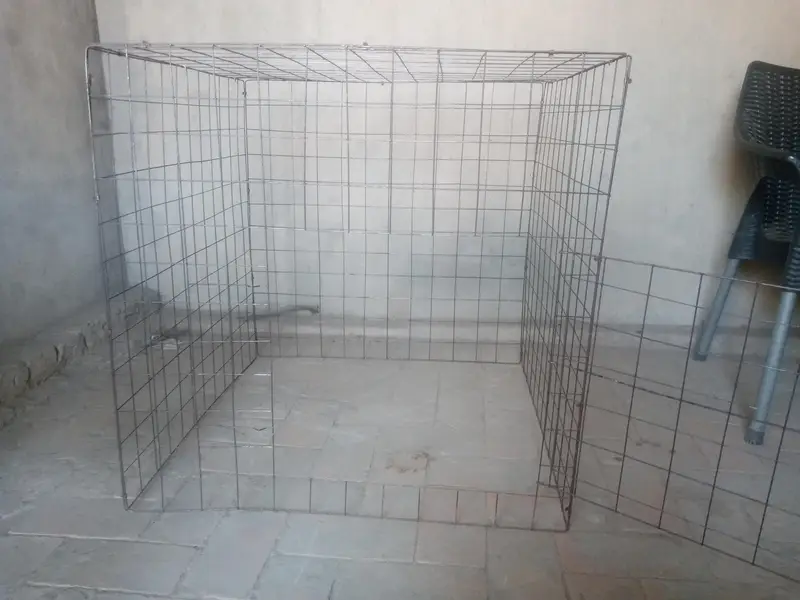 cage for hens 2.3/2.3 — photo 5