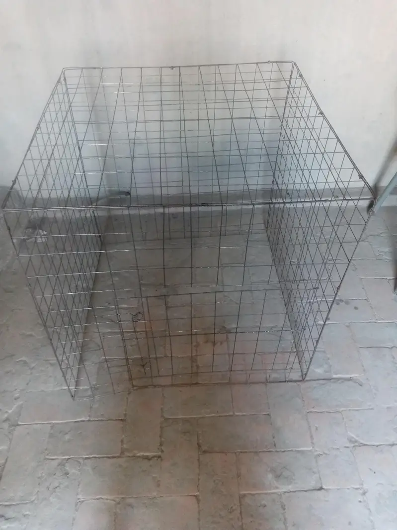 cage for hens 2.3/2.3 — photo 6