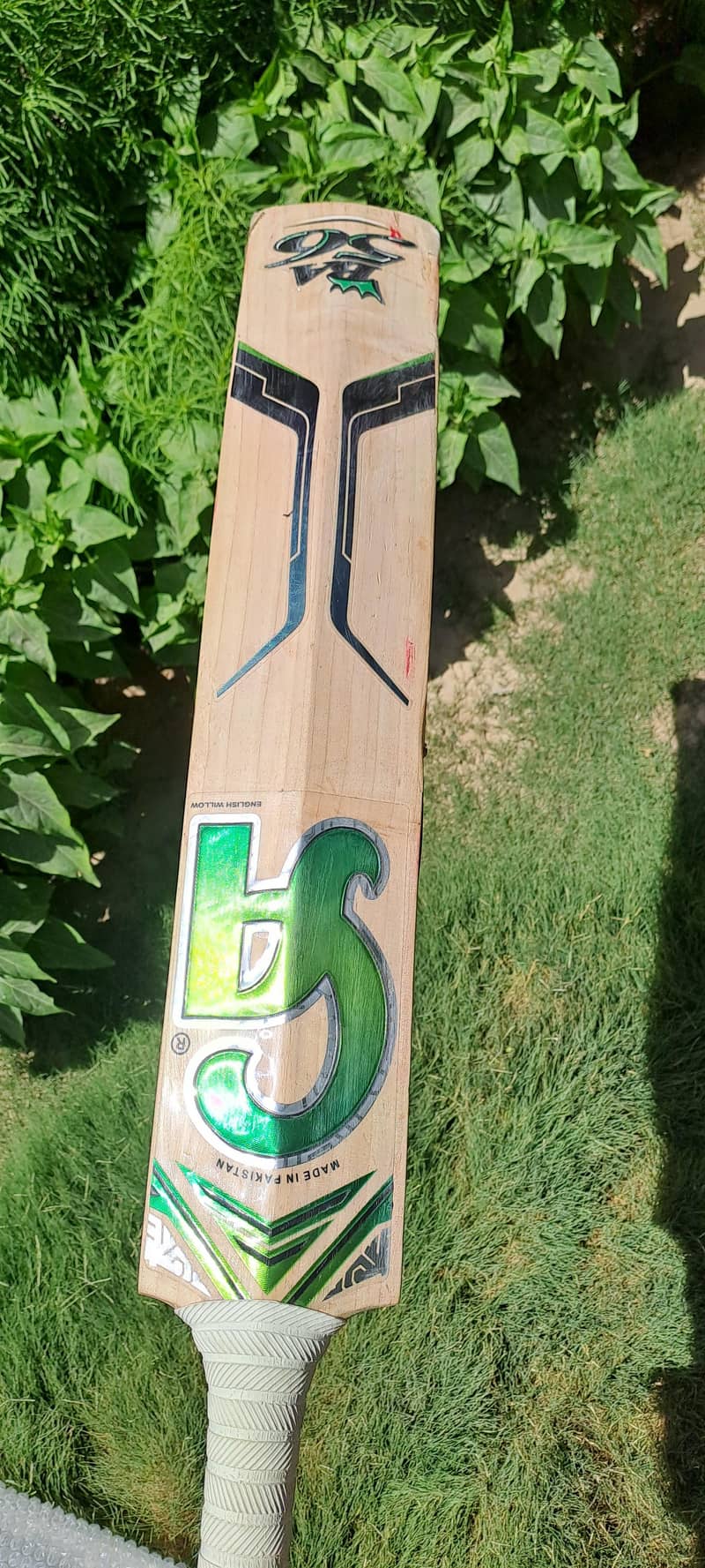ca bat 13