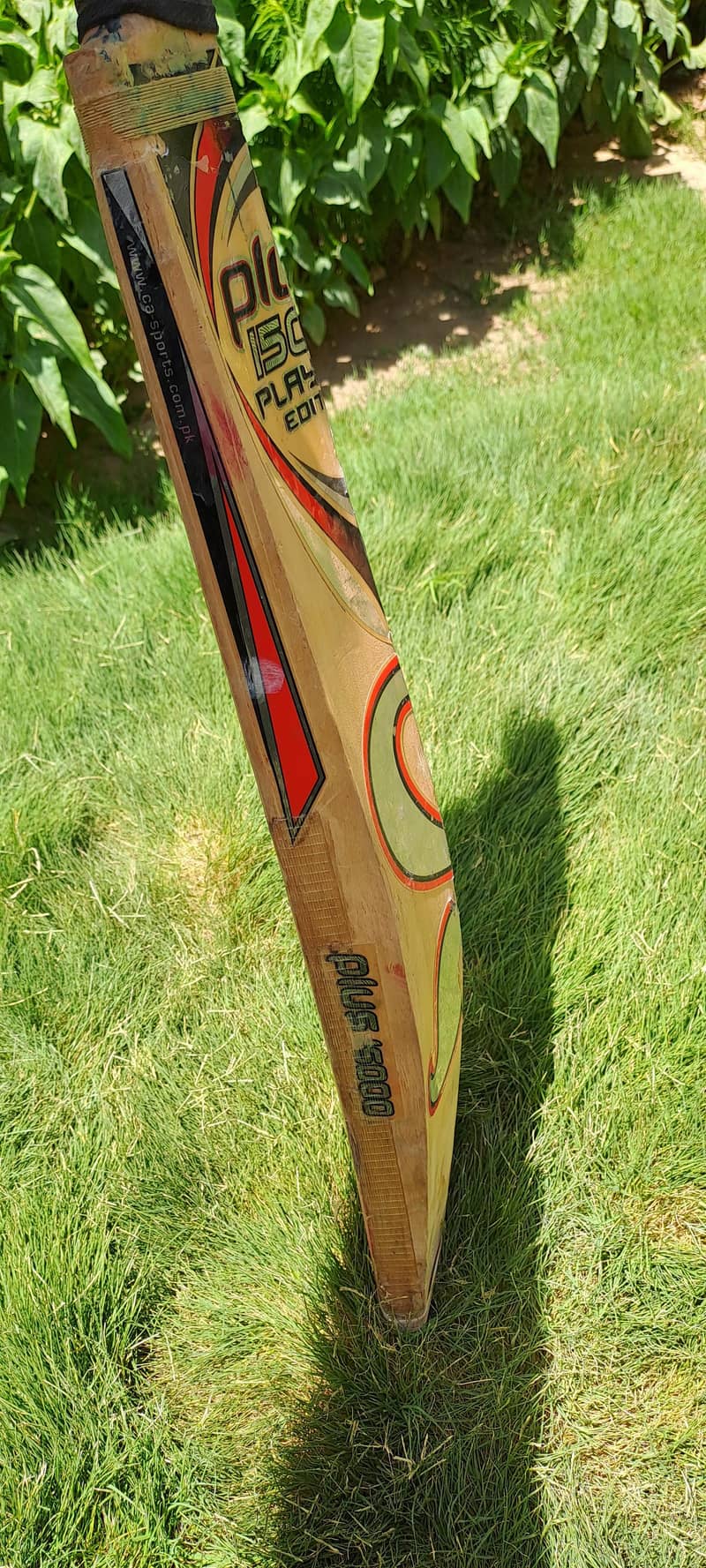 ca bat 15