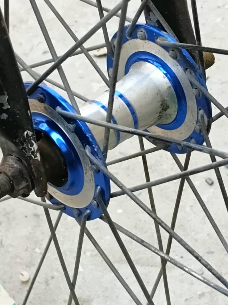 cycle 1
