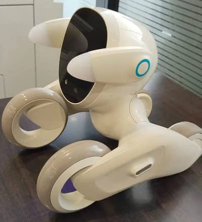 Loona Robot Pet Loona Robot Pet Dog ChatGPT-4o Smart AI-Powered . . .