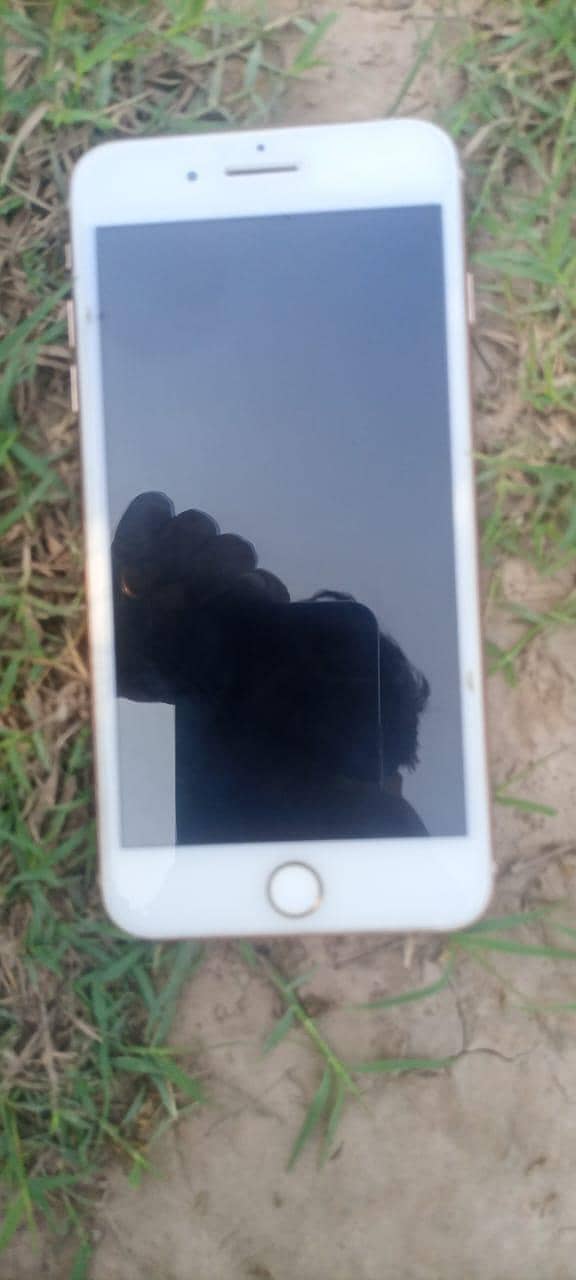 Apple iPhone 8 Plus 0