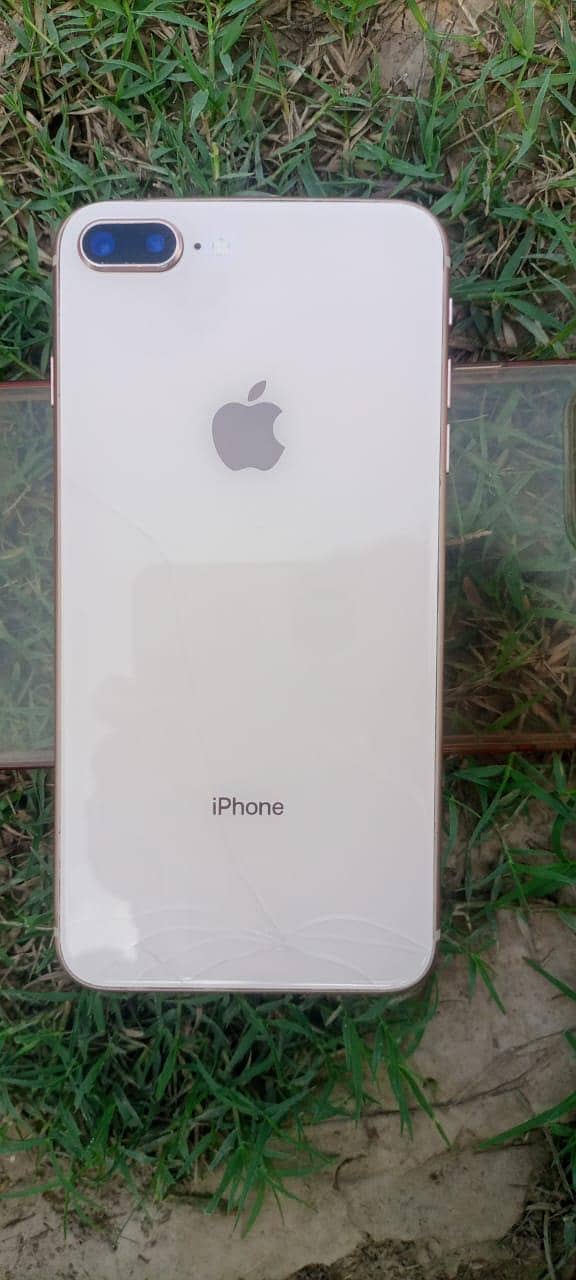 Apple iPhone 8 Plus 1