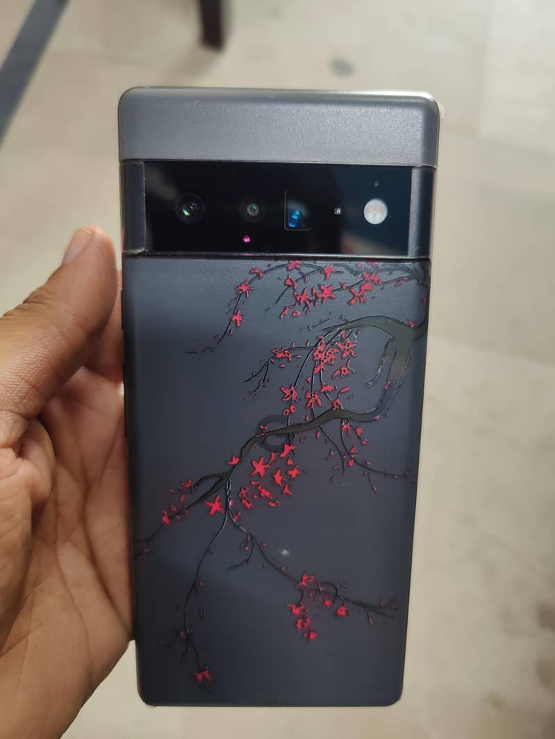 Google Pixel 6 Pro 1