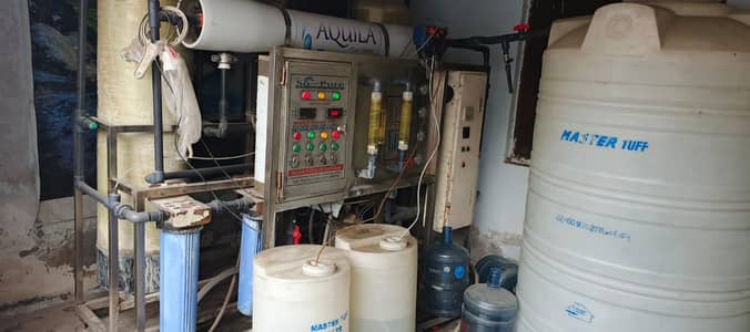 water plant for sale