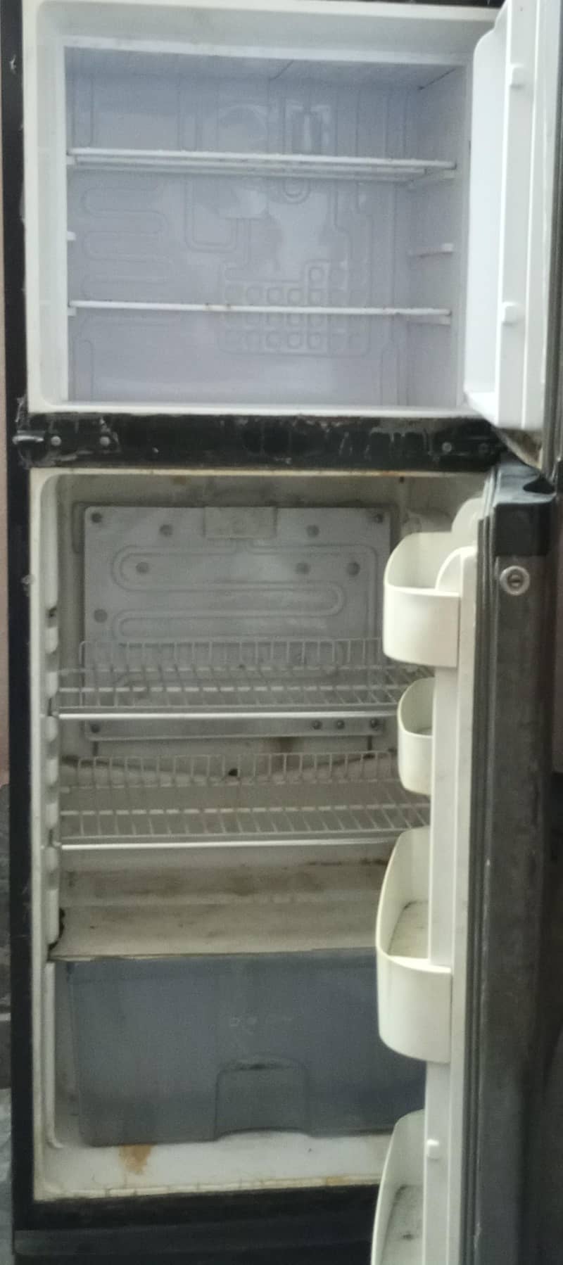 medium size fridge 1