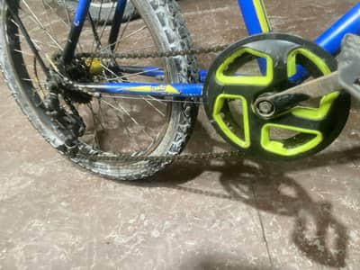 Phoenix’s cycle with gear set