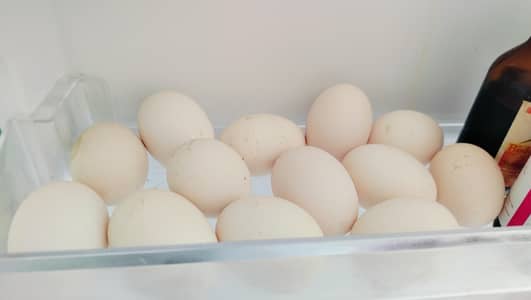 golden heavy buff eggs