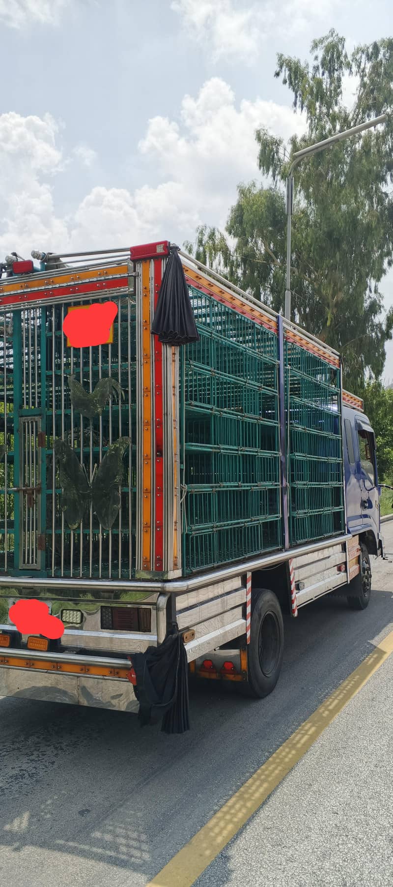 Poultry Mazda 3