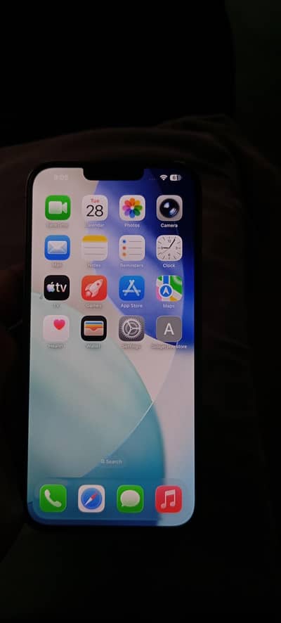 Apple iPhone 13 Pro Max