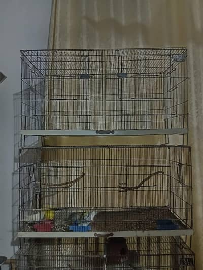 Birds cages