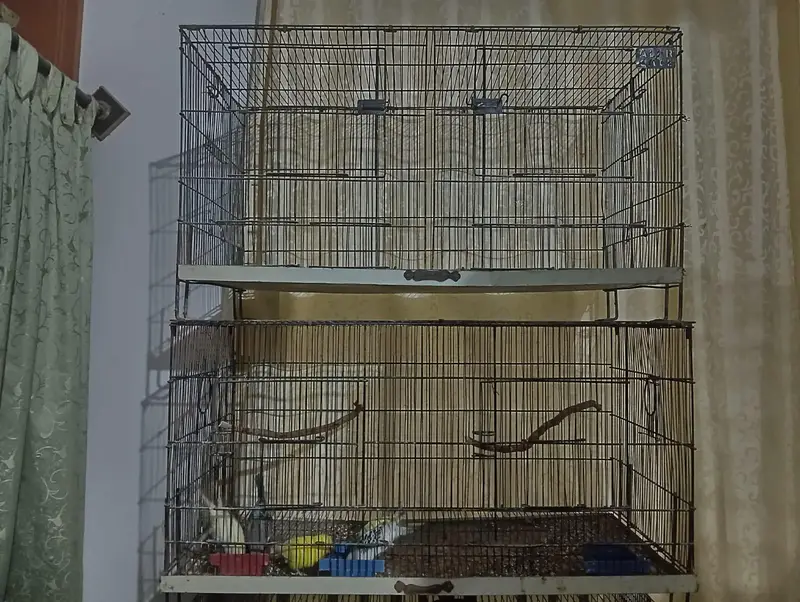 Birds cages — photo 2