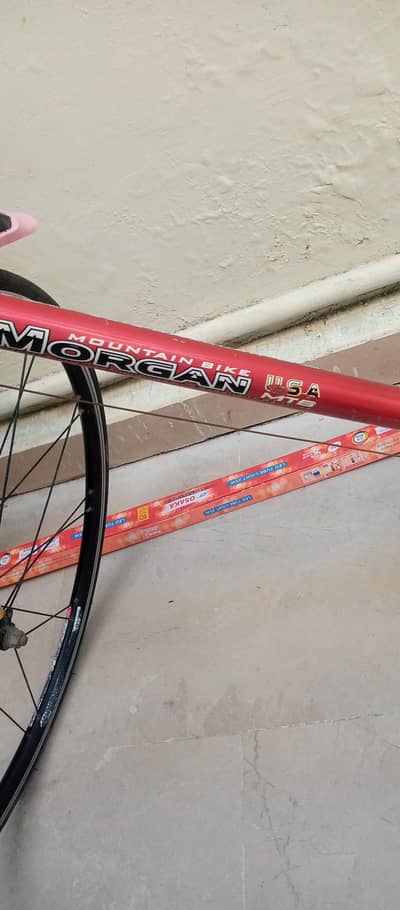 mountain bike for sale