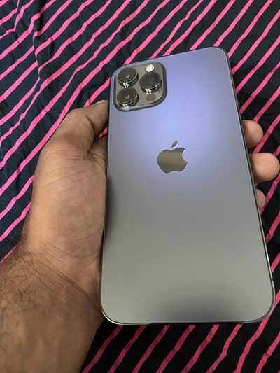 iphone 12 pro max official dual Pta approved