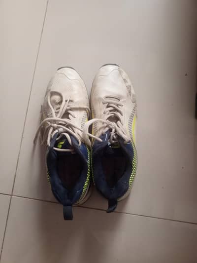 shine cricket grippers