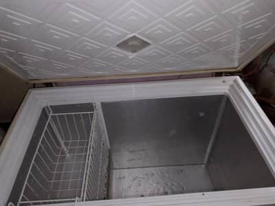 Waves one door deep freezer