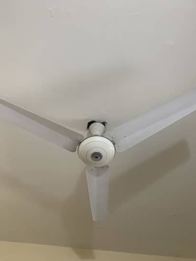 Celling fan good condition