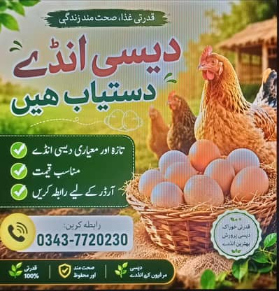 Golden misre egg dastyb hain. jis KO chy rants karin