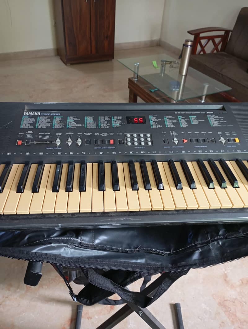 Musical Instruments 10