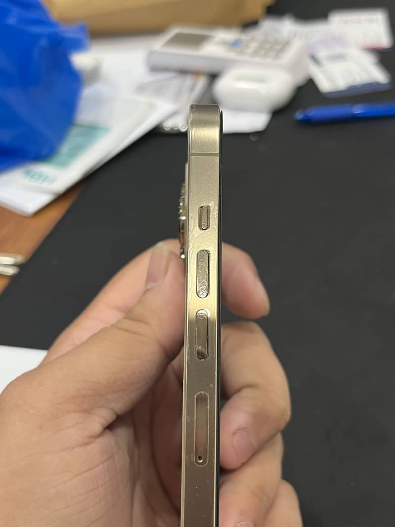 Apple iPhone 13 Pro Max 1