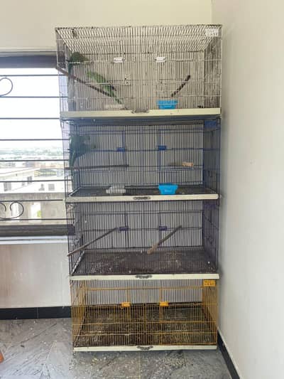 Cage Available 1/5*1/5*3 (3500 each)