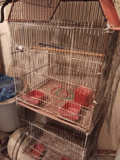 lovebirds/parrot 2 portion cage