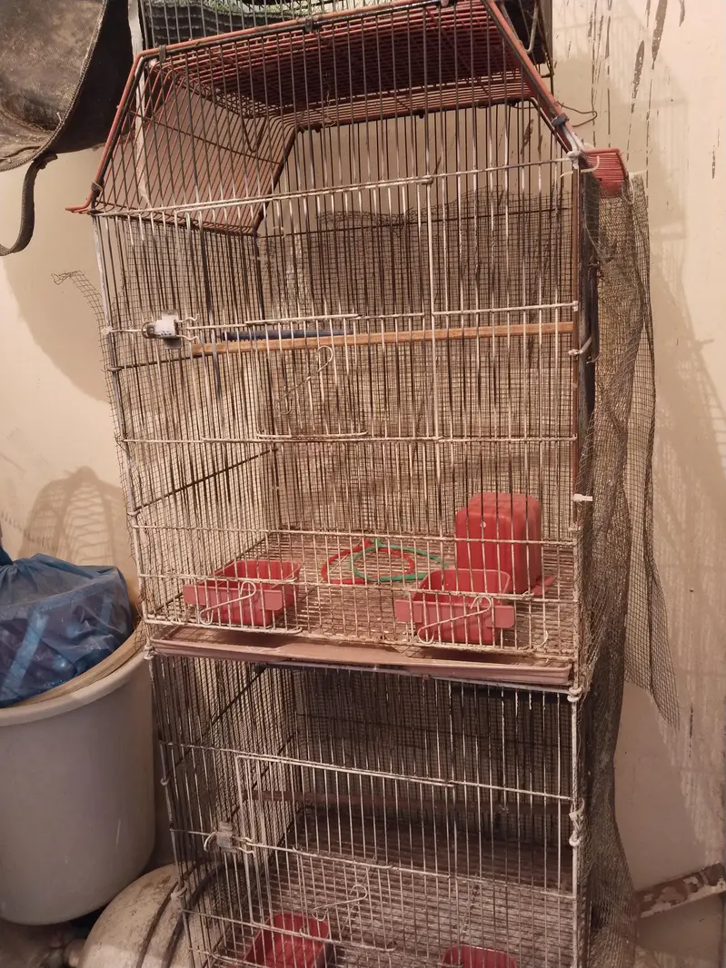 lovebirds/parrot 2 portion cage — photo 2