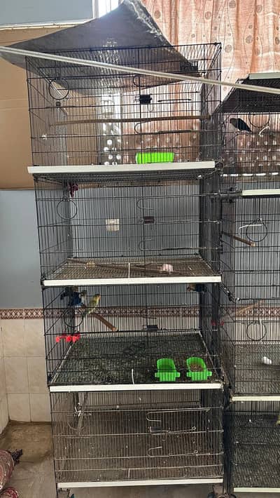 bird cages and  pinjra