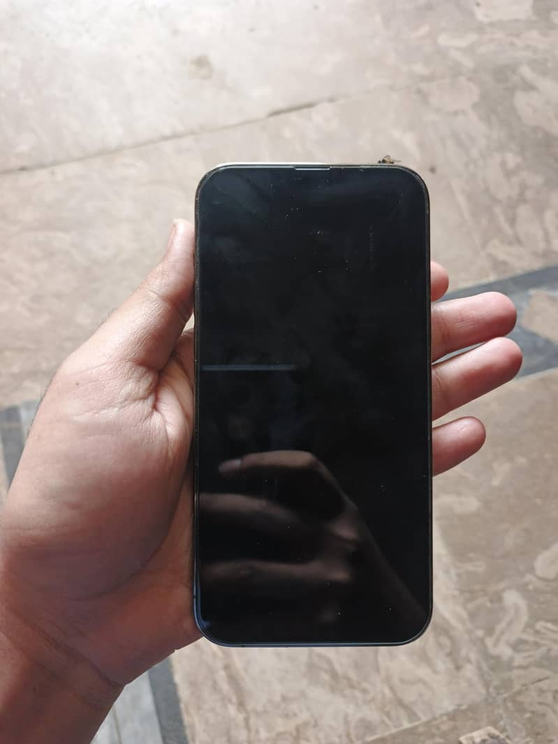 Apple iPhone 13 Pro Max 1