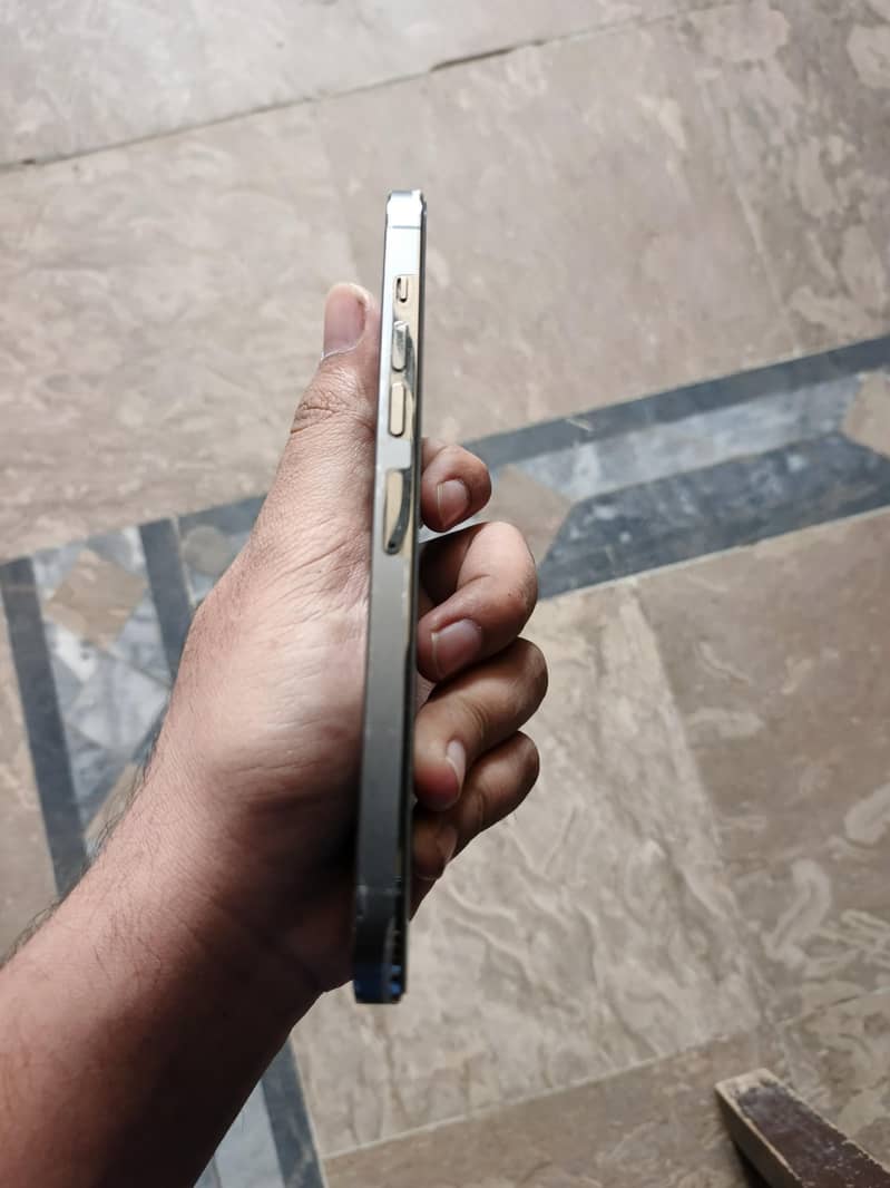 Apple iPhone 13 Pro Max 2