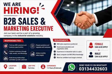 B2B Sales and Marketing Expert Female and Male