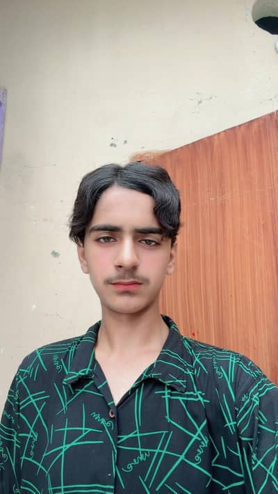 majy kam zaroot ha apne green town