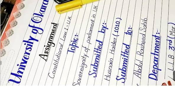 Assignment writer