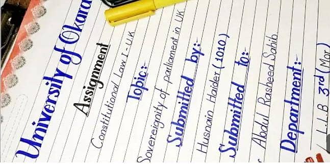 Assignment writer 0