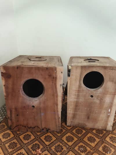 two cocktail breeding boxes for sale in Lahore
