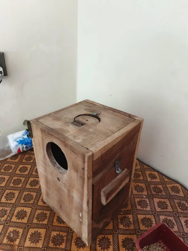 two cocktail breeding boxes for sale in Lahore — photo 2