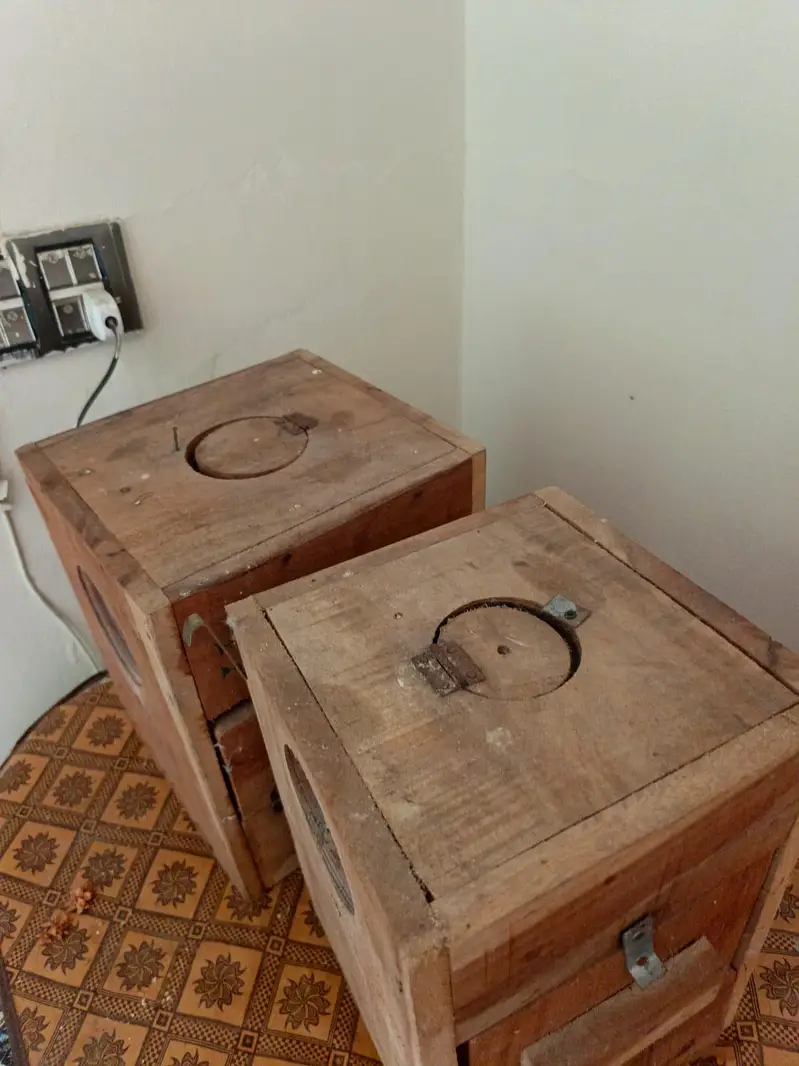 two cocktail breeding boxes for sale in Lahore — photo 4