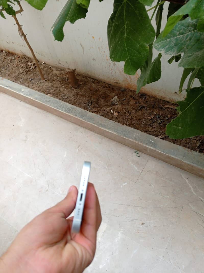 Apple iPhone 12 0