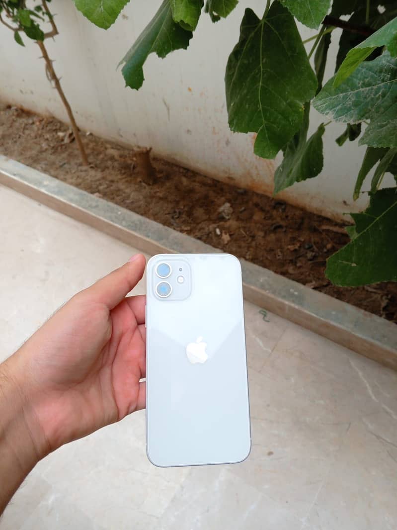 Apple iPhone 12 1