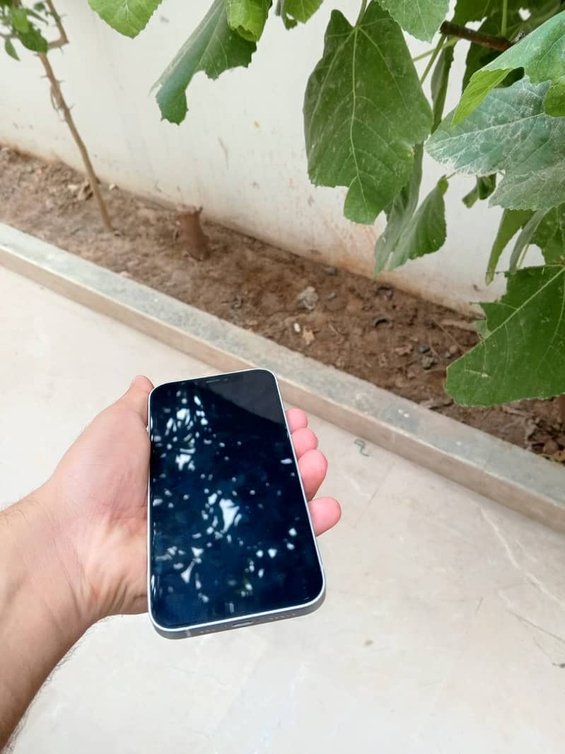 Apple iPhone 12 2